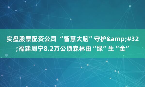 实盘股票配资公司 “智慧大脑”守护 福建周宁8.2万公顷森林由“绿”生“金”
